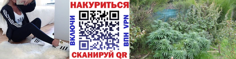 цена наркотик Красково Бошки Шишки Bruce Banner
